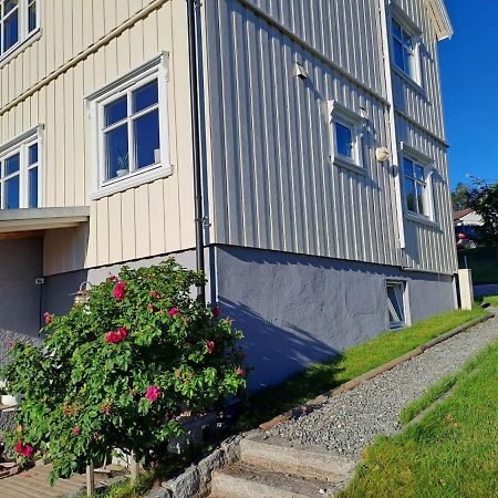 Warm And Cozy Apartment With Panoramic View Above The City Center Тромсё Экстерьер фото