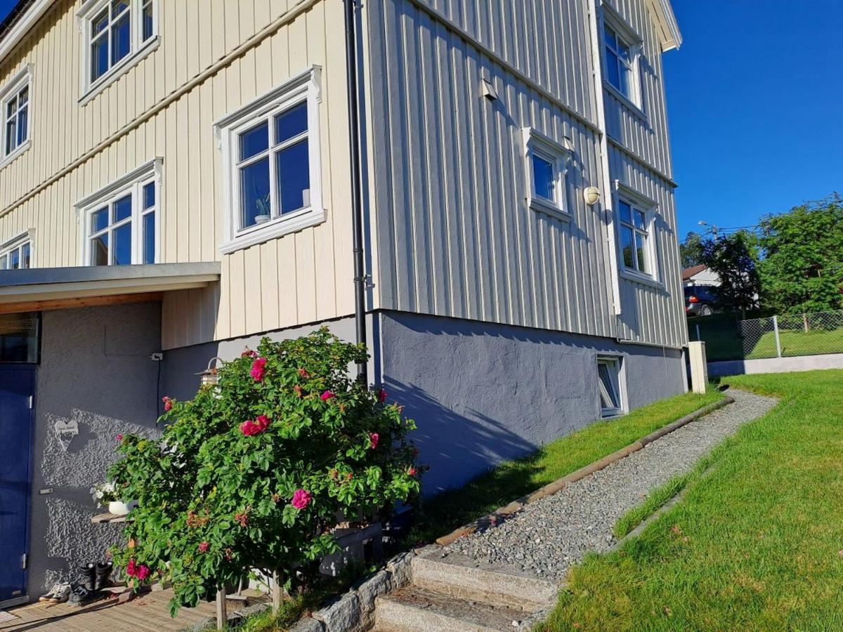 Warm And Cozy Apartment With Panoramic View Above The City Center Тромсё Экстерьер фото